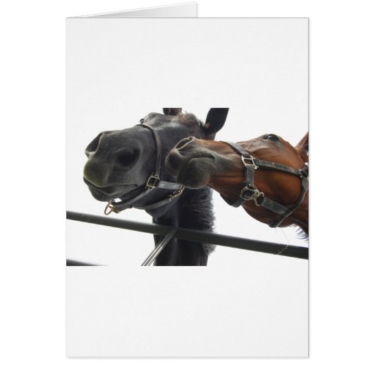 Horsing around cards (Front)
