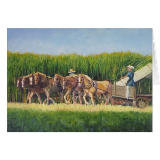 Horsing Around Cards (Front Horizontal)
