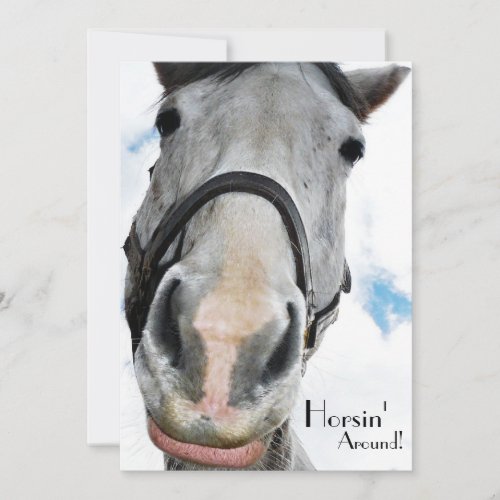 Horsing Around _ Funny Horse Face for equestrians Invitation