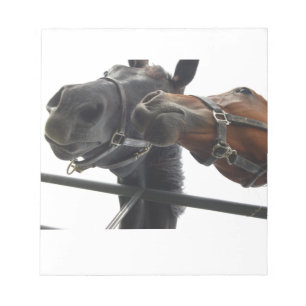Horsing Around Notepad