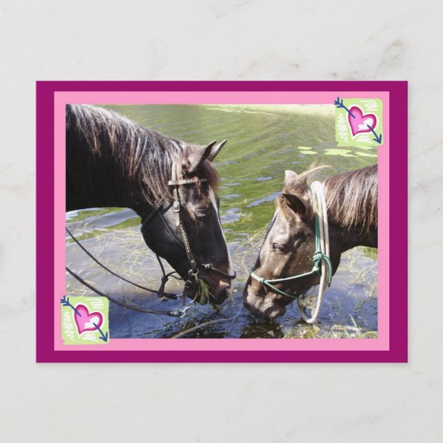 Horsy Valentine Holiday Postcard (Front)