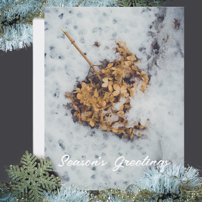 Hortensia flower on the snow  holiday postcard (Creator Uploaded)