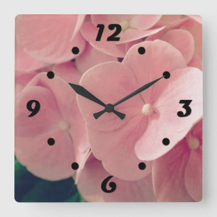 Hortensia Hydrangea pink pastel flowers floral Square Wall Clock