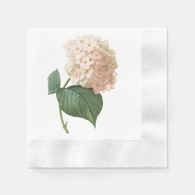 hortensia(Hydrangea sp.) by Redouté Napkins (Front)