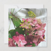 Hortensien bloom meets rain and dill (Front)