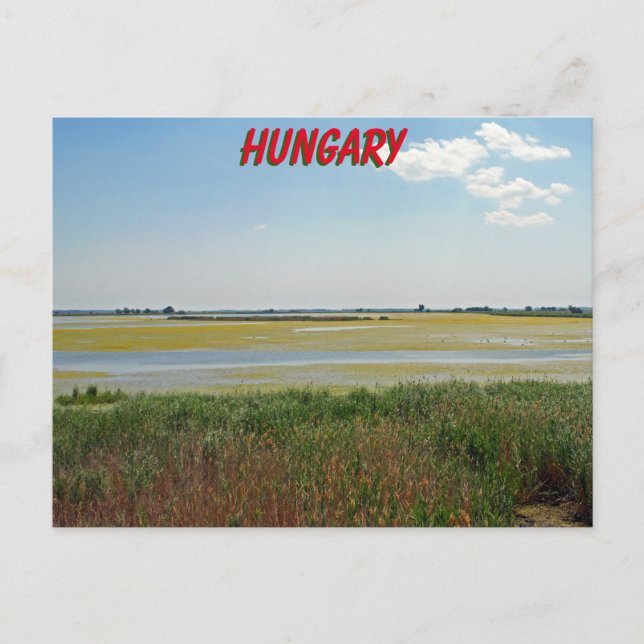 Hortobagy National Park, Hungary Postcard (Front)