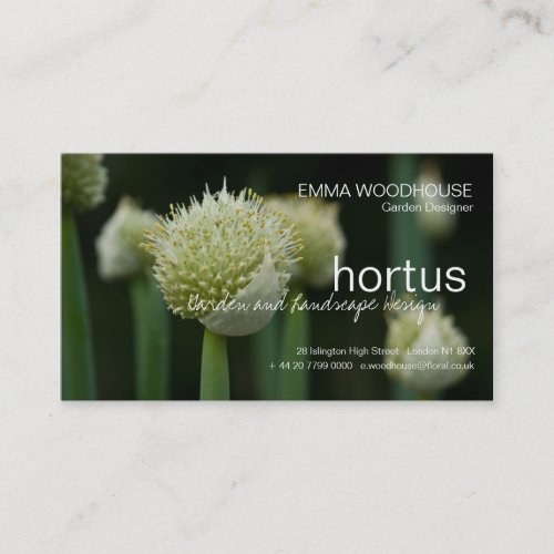 Hortus _ Allium Business Card