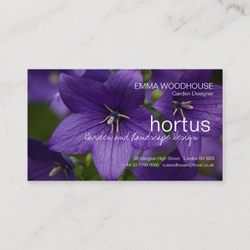 Hortus _ Chinese Bellflower Business Card