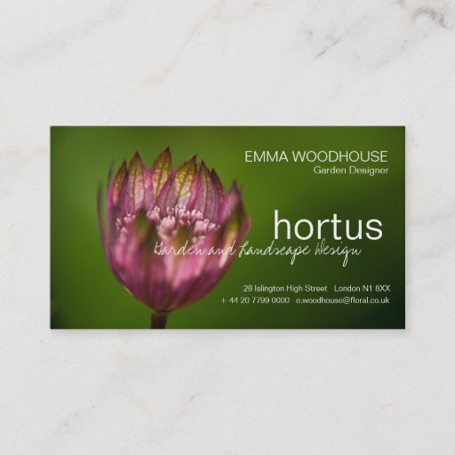 Customizable Hortus - Great Masterwort Business Card