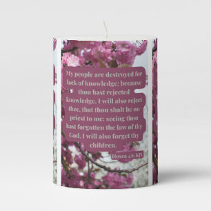 Hosea 4:6 KJV Bible Scripture Pic Pillar Candle