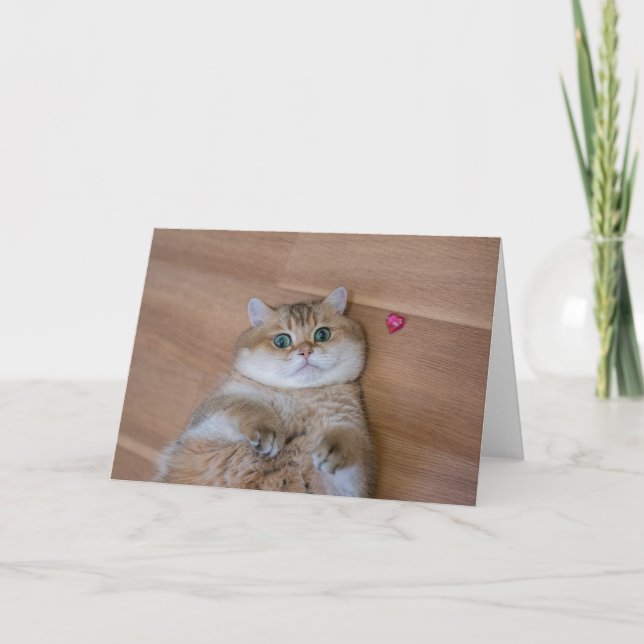 Hosico and heart card (Front)