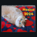 Hosico Calendar 2024<br><div class="desc">Limited edition Hosico Calendar 2024 is Now Available! Beautiful full color photos of me will for sure make you smile through the whole year.</div>