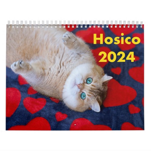 Hosico Calendar 2024