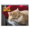 Hosico Calendar 2026