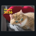 Hosico Calendar 2026<br><div class="desc">Limited edition Hosico Calendar 2026 is Now Available! Beautiful full color photos of me will for sure make you smile through the whole year.</div>