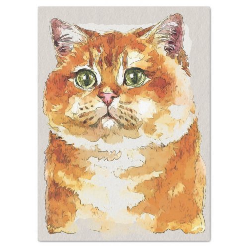 Hosico Cat Breed Watercolor Sketch Tissue Paper