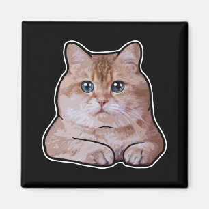 Hosico Cat Magnet