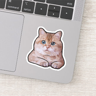 Hosico Cat Sticker