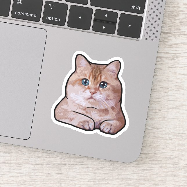 Hosico Cat Sticker (Detail)