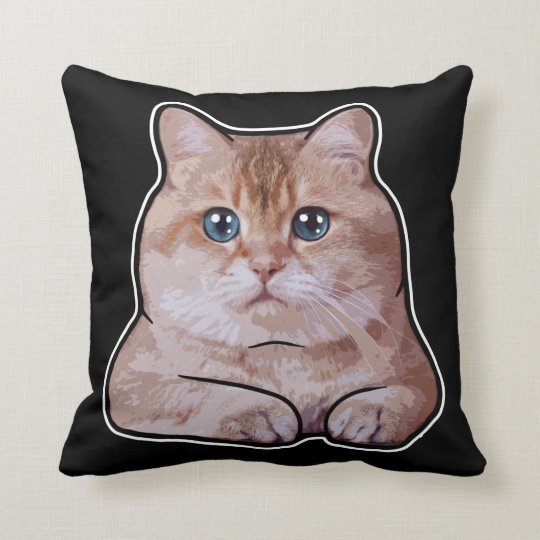 hosico cat pillow