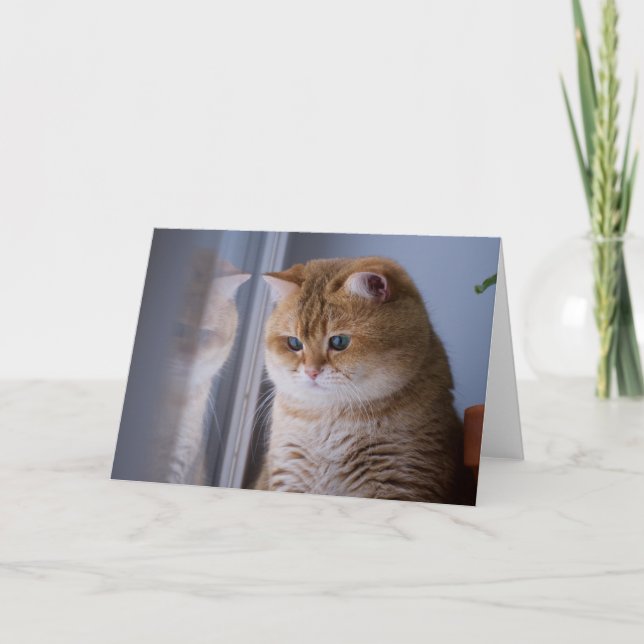 Hosico fluffy cheeks card (Front)