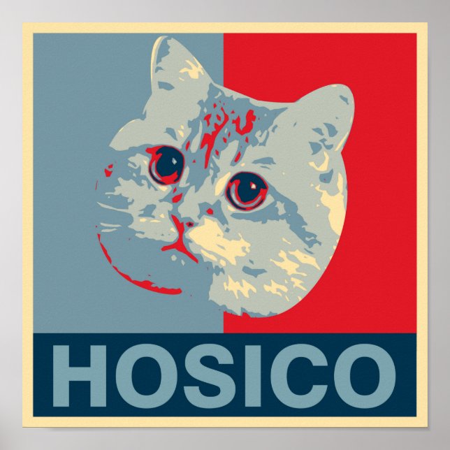 Hosico - Red Blue Illustration Poster (Front)