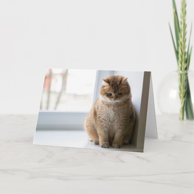 Hosico thought card (Front)