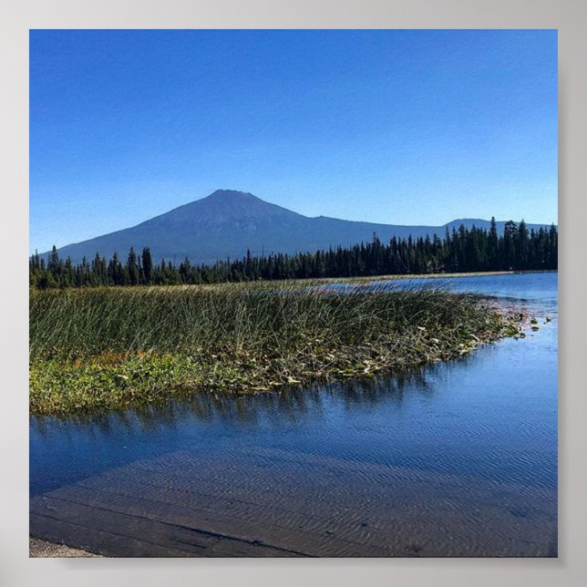 Hosmer Lake in Summer, Oregon Poster (Front)