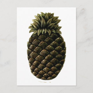 Hospitality Pineapple 2 The MUSEUM Zazzle Gifts Postcard