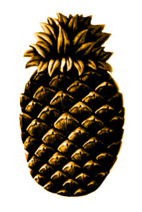 Hospitality Pineapple Gold jGibney The MUSEUM Zazz iPhone SE/5/5s Cover