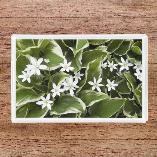Hosta and White Ornithogalum Floral Acrylic Tray
