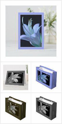 Hosta Flower