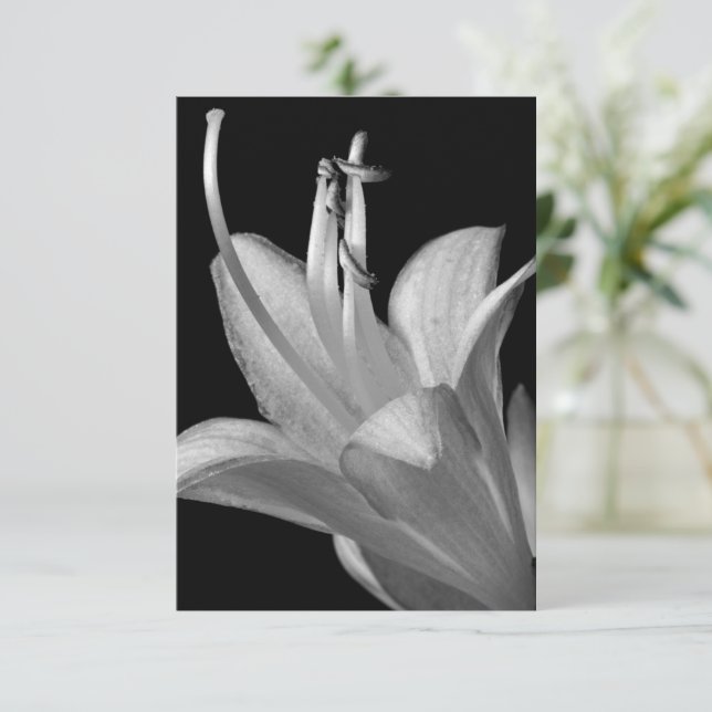 Hosta Flower Black, White Elegant Macro Photograph (Standing Front)
