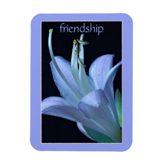 Hosta Flower Ornate Lavender Friendship Magnet