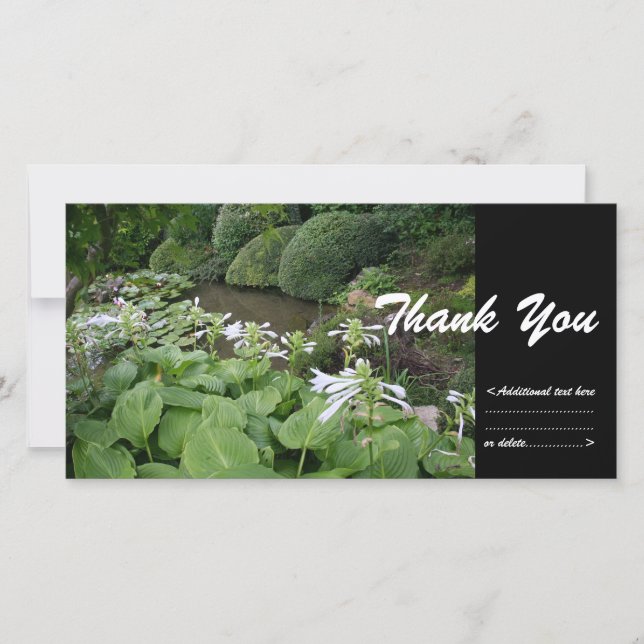 Hosta in a Zen Garden 2 Thank You Photo Card (Front)