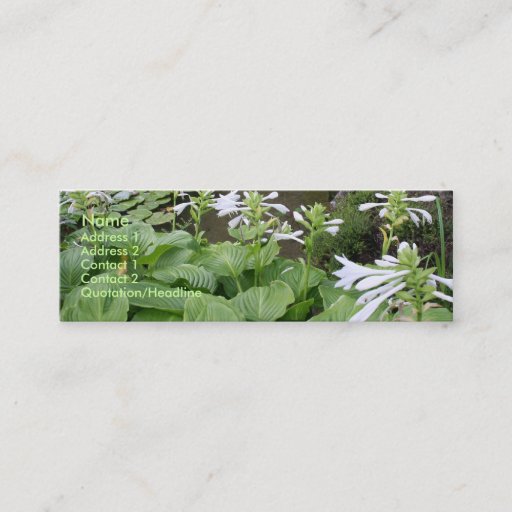 Customizable Hosta in a Zen Garden #2 Business Cards