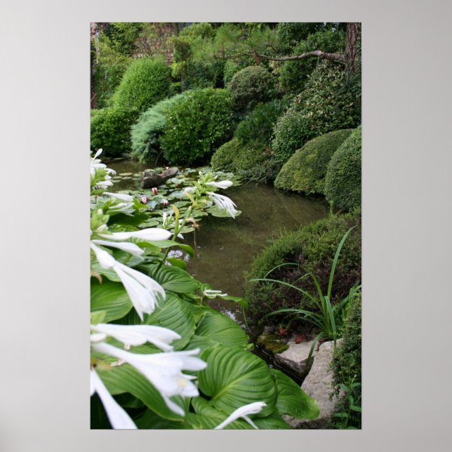 Hosta in a Zen Garden Poster (Front)