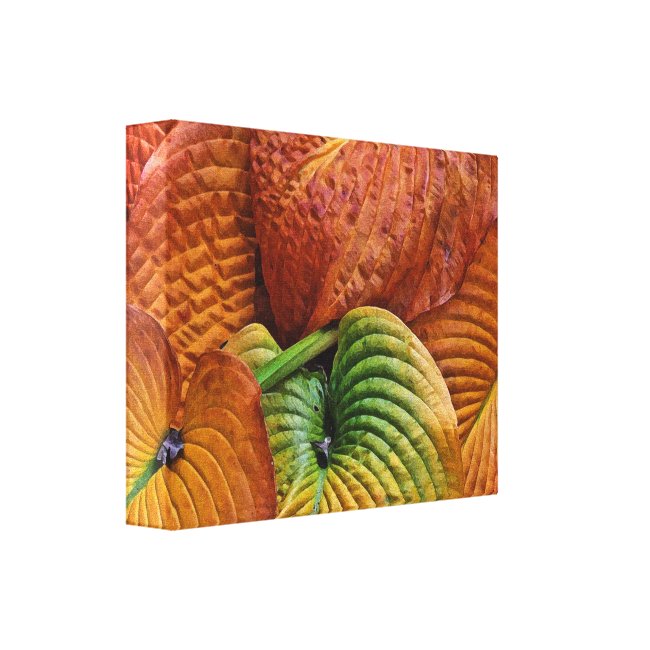 Hosta:Leaves Autumn Colors Pattern Canvas Print