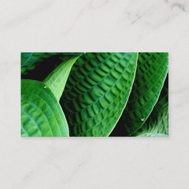 Hosta Leaves Business Card (Front)