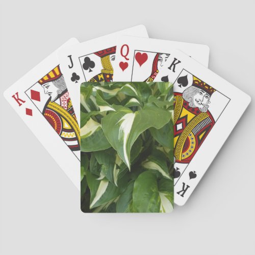 Hosta Leaves Poker Cards