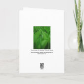 Hosta Leaves with Raindrops Birthday Card (Back)