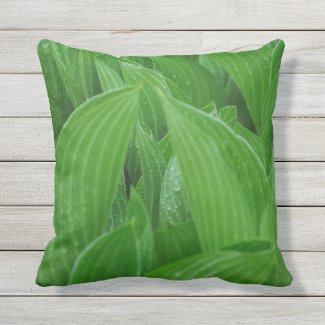 Hosta Leaves with Raindrops Outdoor Pillow