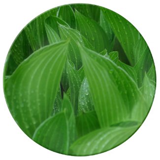 Hosta Leaves with Raindrops Porcelain Plate