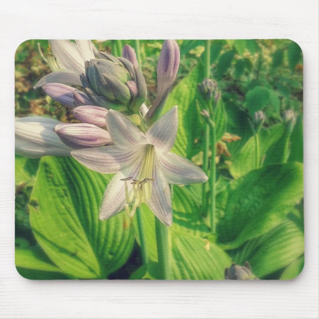 Hosta Mouse Pad (Front)