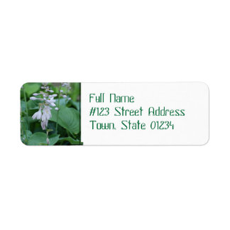 Hosta Plant Return Address Mailing Labels
