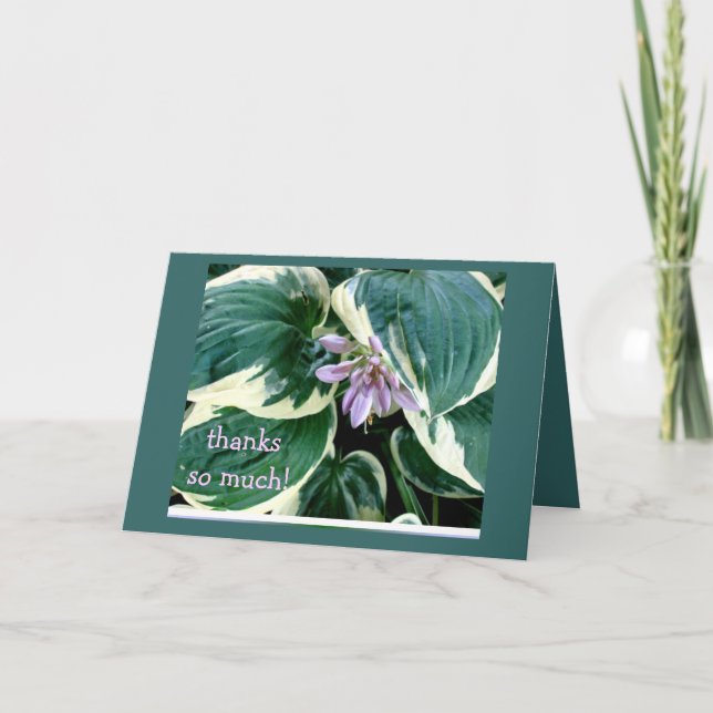 Hosta Thank you card (Front)