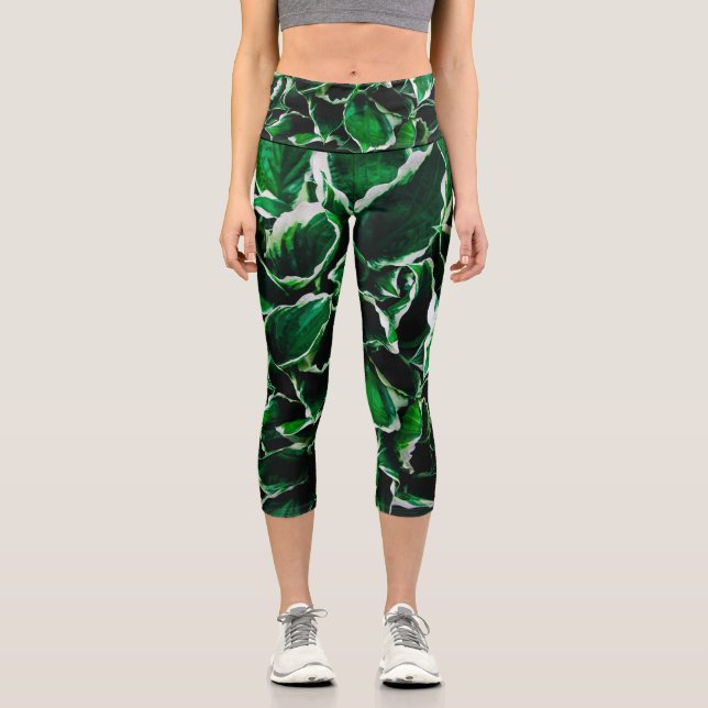 Hosta undulata vibrant green plant leaves capri leggings (Front)