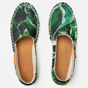 Hosta undulata vibrant green plant leaves espadrilles