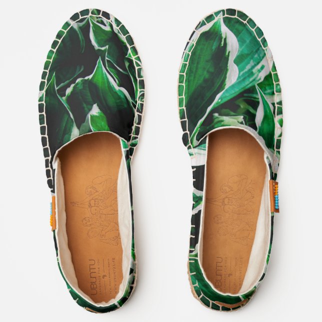 Hosta undulata vibrant green plant leaves espadrilles (Front)