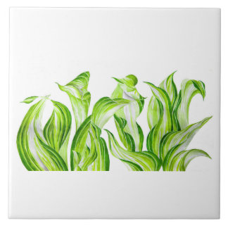 'Hosta with the Mosta' on a Ceramic Tile 